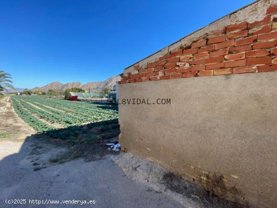 SOL8VIDAL VENDE CASA CON  6.000 m2 DE TERRENO - ESCORRATEL - ALICANTE