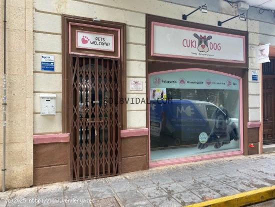 LOCAL COMERCIAL 250 M2 EN LA GLORIETA GABRIEL MIRO DE ORIHUELA - ALICANTE