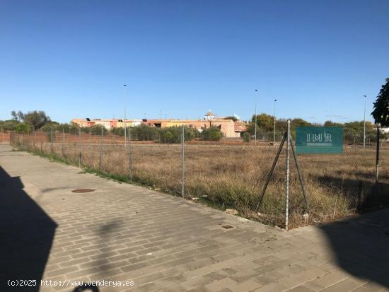 Solar para uso terciario en Benacazón. - SEVILLA