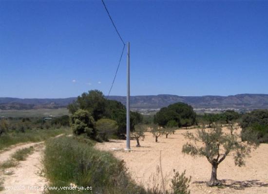  Se Vende en Biar - ALICANTE 