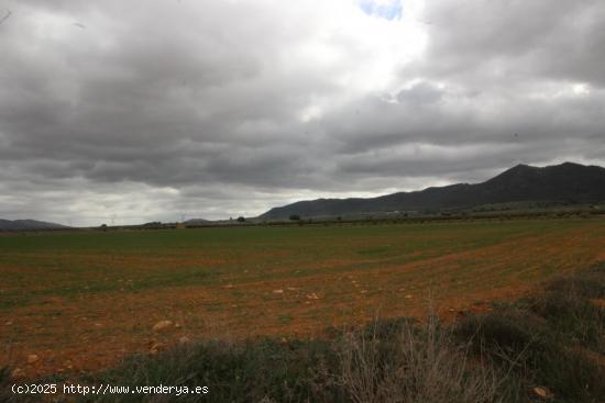 Se Vende en Biar - ALICANTE