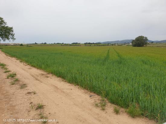 Venta Plan Parcial en Vilafranca del Penedes. - BARCELONA