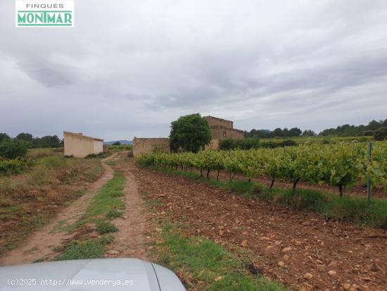  Finca Rústica en el Pla de Santa María de 37,5 Ha. con Masía - TARRAGONA 