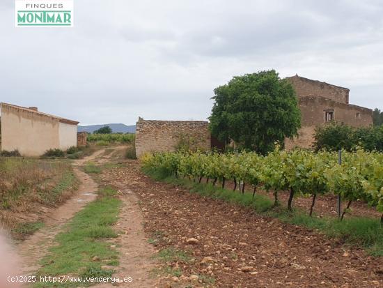 Finca Rústica en el Pla de Santa María de 37,5 Ha. con Masía - TARRAGONA