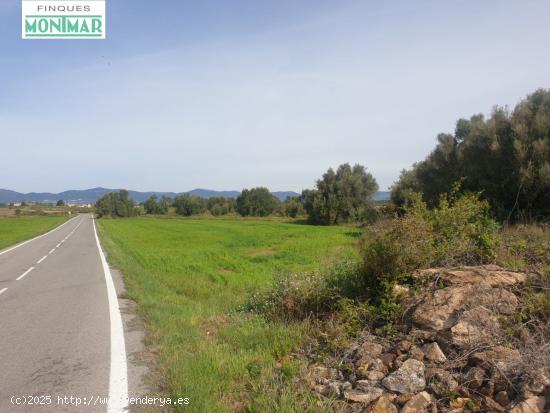  Finca Rústica en Venta en Vilabella. - TARRAGONA 