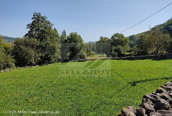 TERRENO ARENAS DE IGUÑA - CANTABRIA