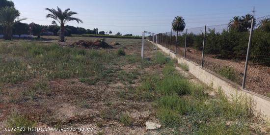  Terreno rural en Elche, 12000 m2 - ALICANTE 