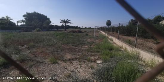 Terreno rural en Elche, 12000 m2 - ALICANTE