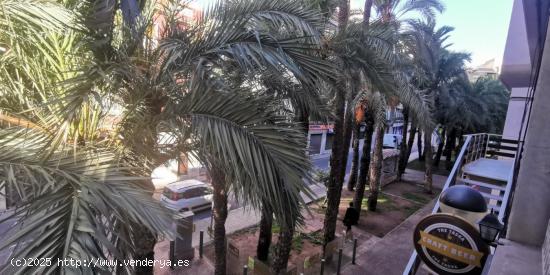 Oficinas en alquiler en pleno centro de Elche - ALICANTE