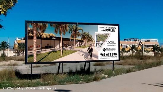  Exclusivo Complejo Comercial en Alquiler en Arenales del Sol - ALICANTE 