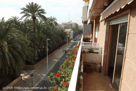  PISO CENTRICO CON VISTAS A HUERTO DE PALMERAS - ALICANTE 