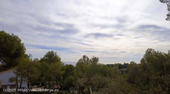  PARCELA CON ESPECTACULARES VISTAS AL MAR EN CUNIT - LOS JARDINES - TARRAGONA 