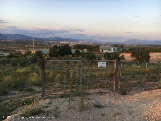 VENTA DE FINCA RUSTICA CON 2.880M2 DE SUPERFICIE, EN ZONA DE MORALEDA DE ZAFAYONA. - GRANADA