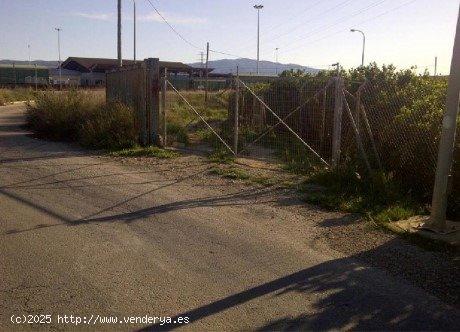 Finca rústica en Puebla de Soto (Murcia). - MURCIA