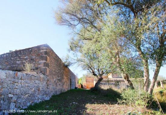  Finca a reformar en Porreres - BALEARES 