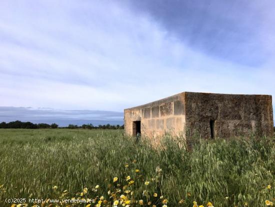 Finca Rústica en Campos - BALEARES