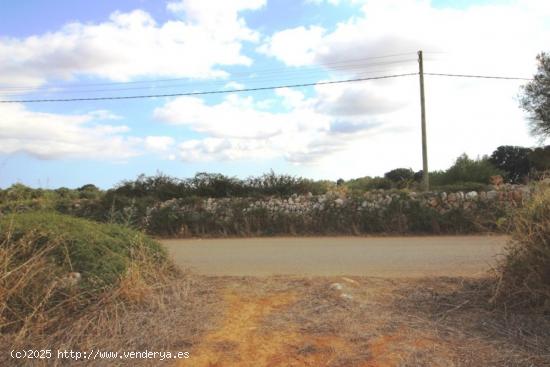 Terreno rural entre Felanitx y Porreres - BALEARES