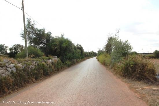 Terreno rural entre Felanitx y Porreres - BALEARES