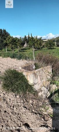 FINCA RÚSTICA CON CASETA Y AGUA - BALEARES