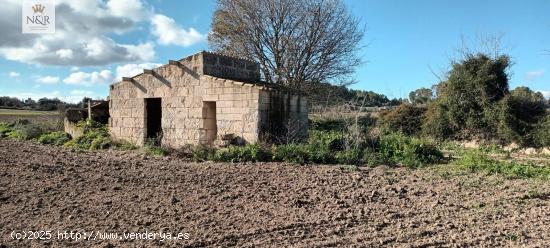 FINCA RÚSTICA CON CASETA Y AGUA - BALEARES