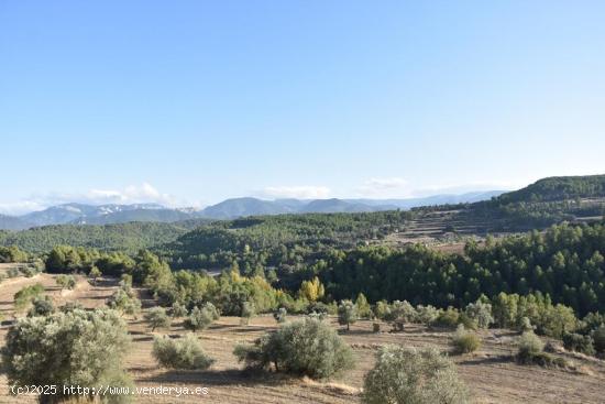 Finca con gran masía en Monroyo - TERUEL