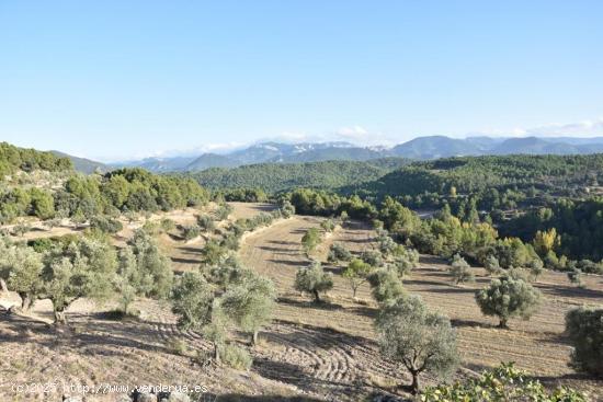 Finca con gran masía en Monroyo - TERUEL