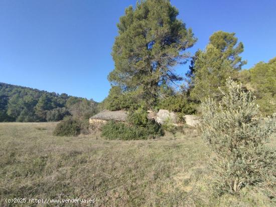  Finca con pequeño maset en Torre del Compte - TERUEL 