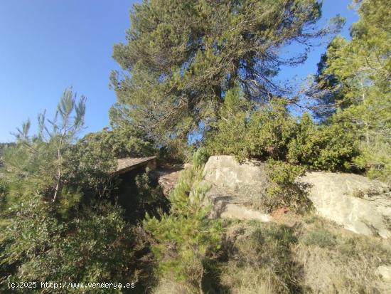 Finca con pequeño maset en Torre del Compte - TERUEL