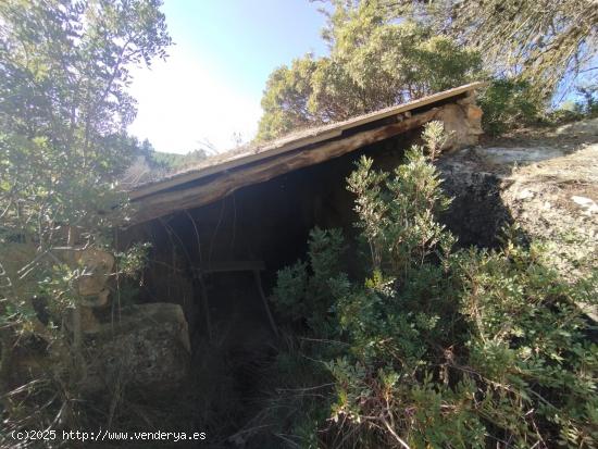 Finca con pequeño maset en Torre del Compte - TERUEL