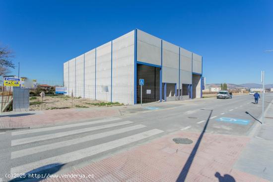  ¡Para Inversores ! Dos Naves Industriales en Construcción de 300 m² Cada Una  - GRANADA