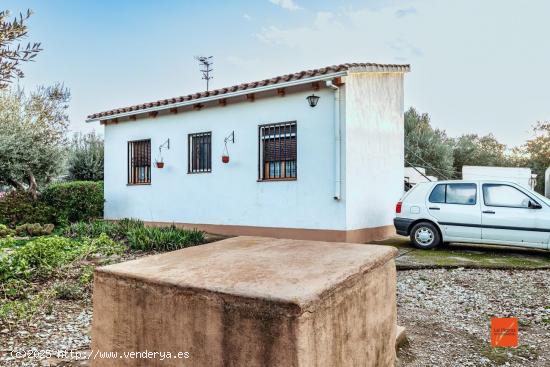 FINCA RUSTICA CON CASA EN VENTA EN FREGINALS (TARRAGONA) - TARRAGONA