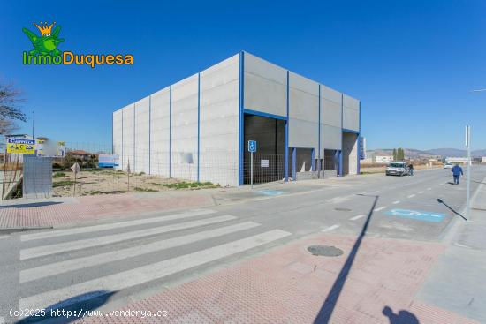  ¡Para Inversores ! Dos Naves Industriales en Construcción de 300 m² Cada Una  - GRANADA