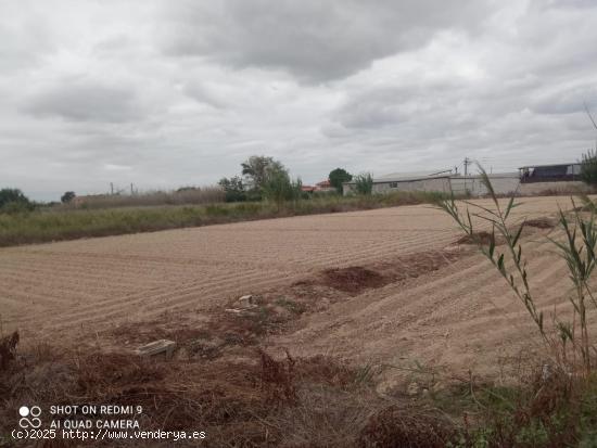 Casa con terreno en la huerta de Alquerías - MURCIA