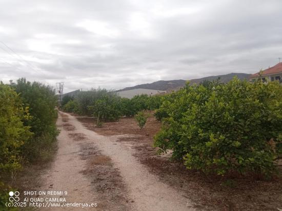 Casa con terreno en la huerta de Alquerías - MURCIA