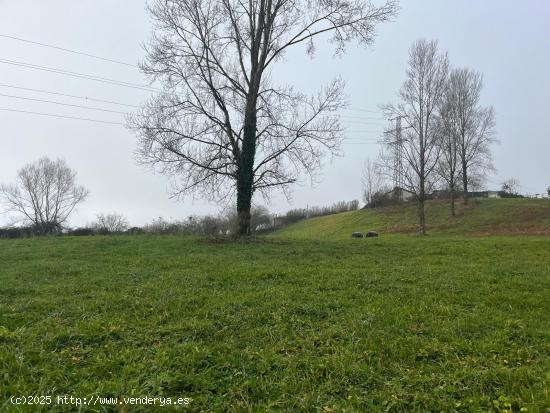 TERRENO EN LANGREO. - ASTURIAS