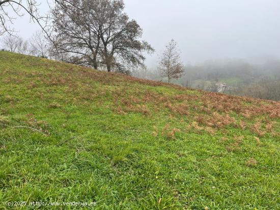 TERRENO EN LANGREO. - ASTURIAS