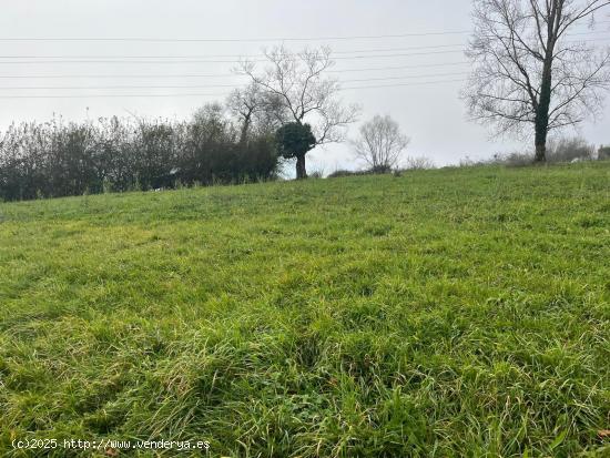  Se Vende en Langreo - ASTURIAS 