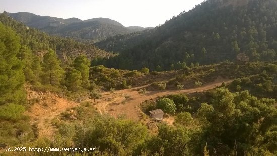 Suelo rústico en venta  en Beceite - Teruel