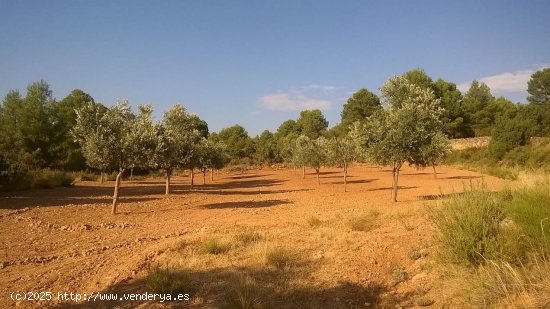 Suelo rústico en venta  en Beceite - Teruel