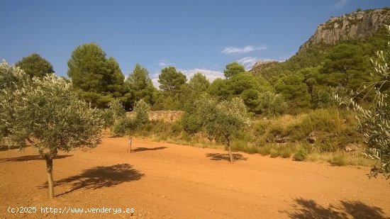 Suelo rústico en venta  en Beceite - Teruel