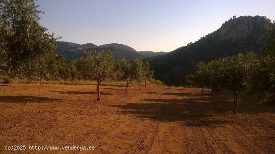 Suelo rústico en venta  en Beceite - Teruel