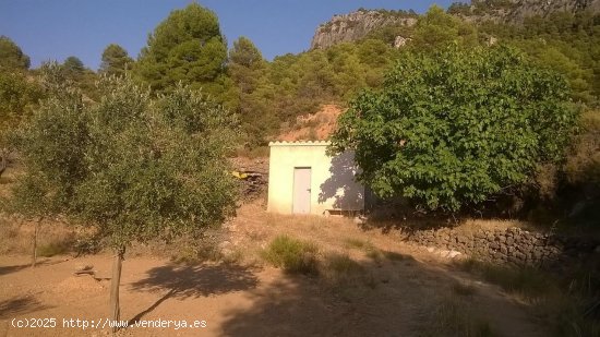 Suelo rústico en venta  en Beceite - Teruel