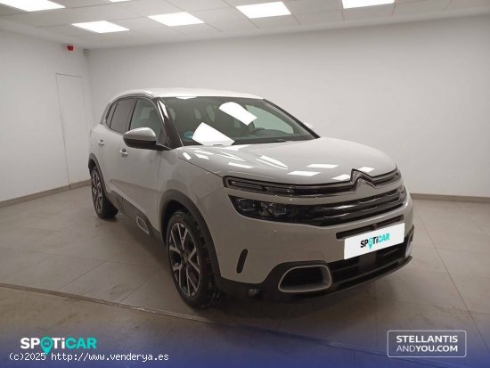 Citroën C5 Aircross  PureTech 96kW (130CV) S&S Feel - Zaragoza