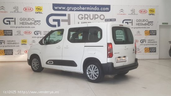 Citroën Berlingo TALLA M BLUE HDI 100 CV FEEL - Ponteareas