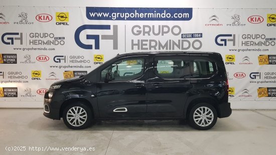 Citroën Berlingo TALLA M BLUE HDI 100 CV FEEL - Ponteareas