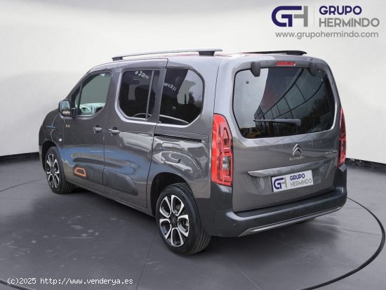 Citroën Berlingo TALLA M BLUE HDI 100 CV SHINE - Ponteareas