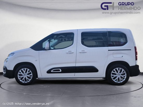 Citroën Berlingo TALLA M FEEL BLUE HDI 100 CV - Ponteareas