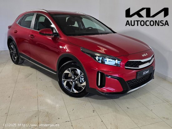  Kia XCeed 1.0 T-GDi Drive 74kW (100CV) -  