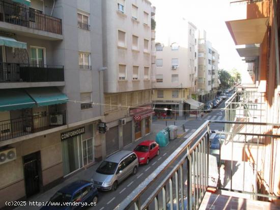 SE ALQUILA VIVIENDA EN ALTABIX PARA ESTUDIANTES - ALICANTE