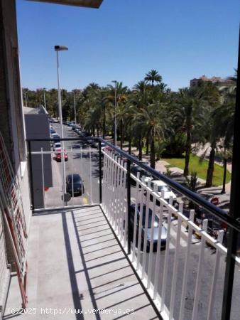  SE ALQUILA PISO EN ALTABIX PARA ESTUDIANTES - ALICANTE 